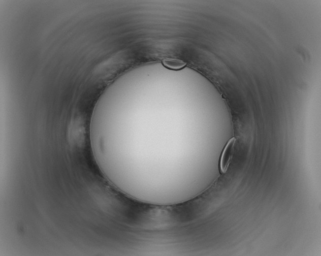 X0000114500080200911091118