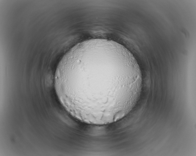 X0000114500081200911091118