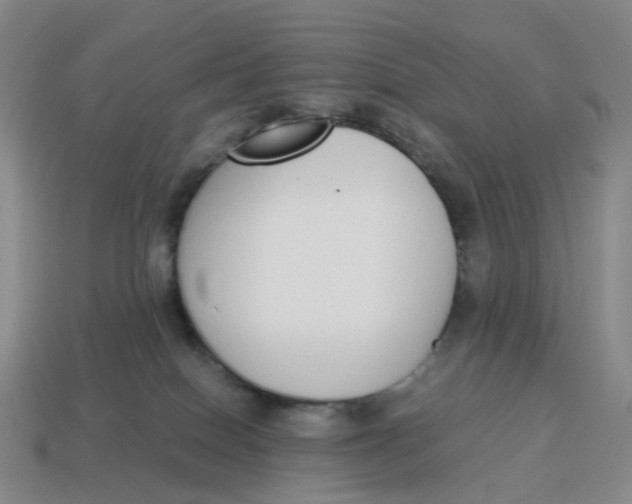 X0000114500086200911091118