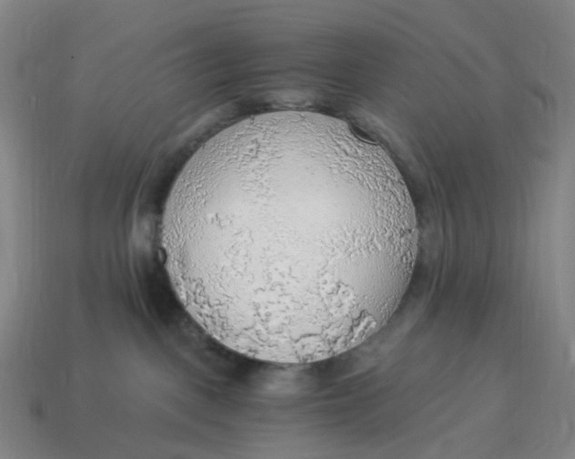 X0000114500093200911091118