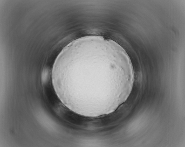 X0000114500095200911091118