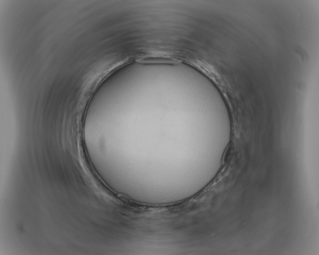 X0000114500097200911091118