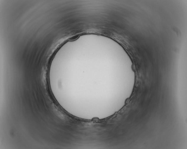 X0000114500098200911091118