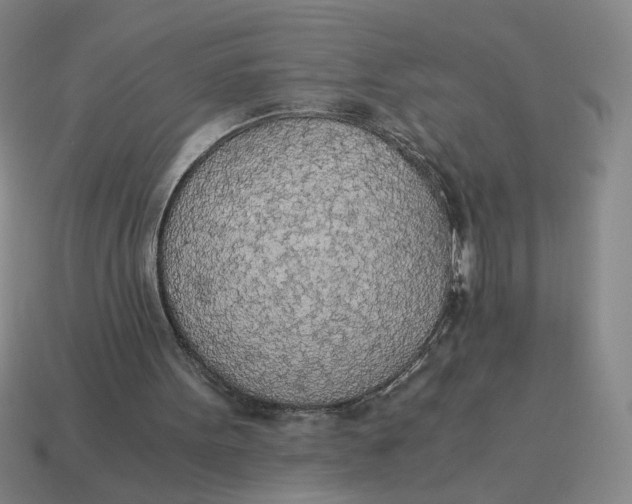 X0000114500099200911091117