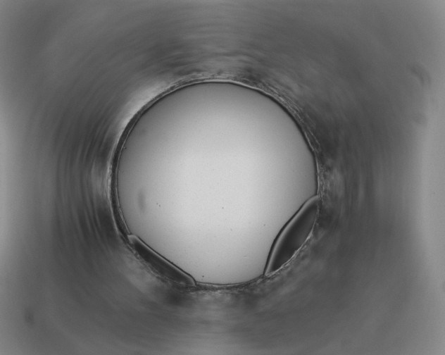 X0000114500100200911091117