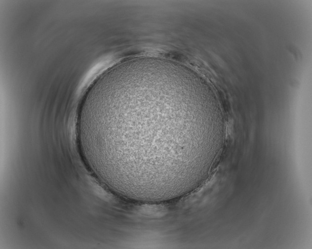 X0000114500101200911091117