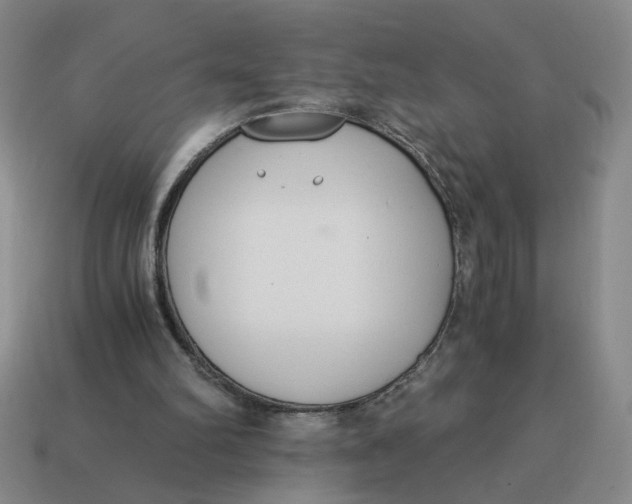 X0000114500102200911091117