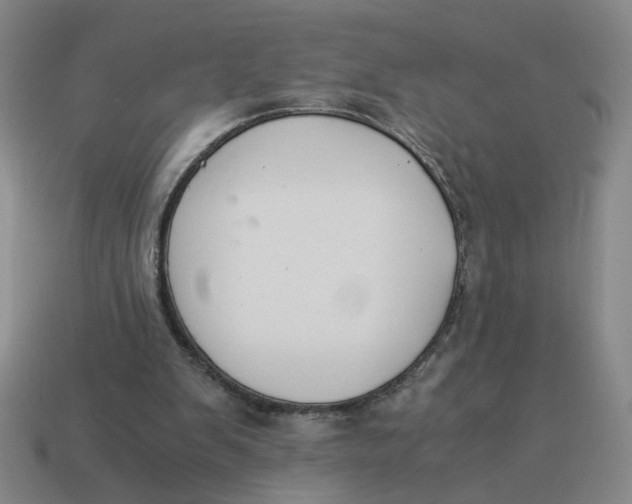 X0000114500103200911091117