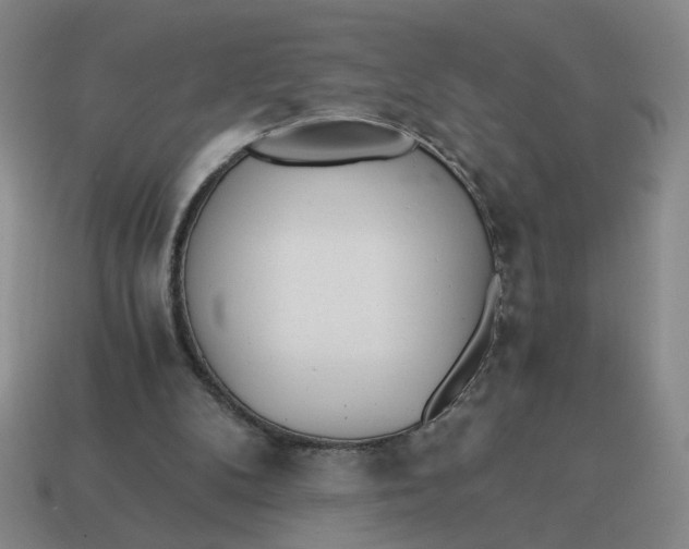 X0000114500104200911091117