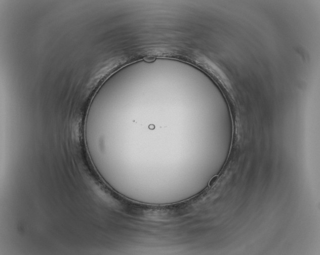 X0000114500105200911091117