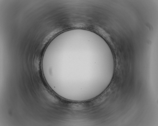 X0000114500106200911091117