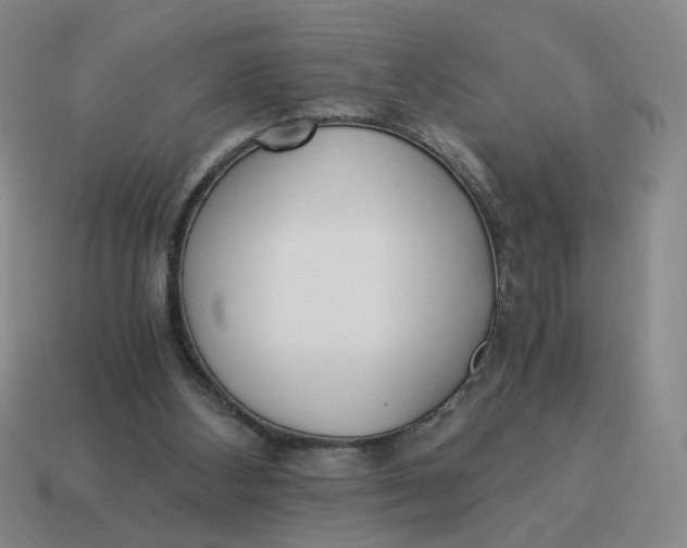 X0000114500108200911091117
