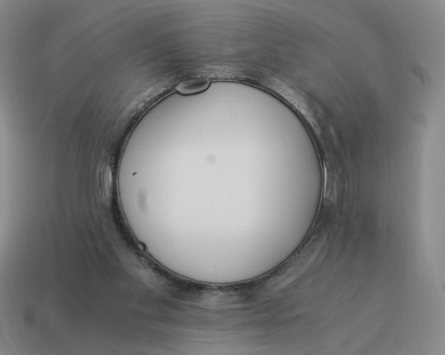 X0000114500109200911091117