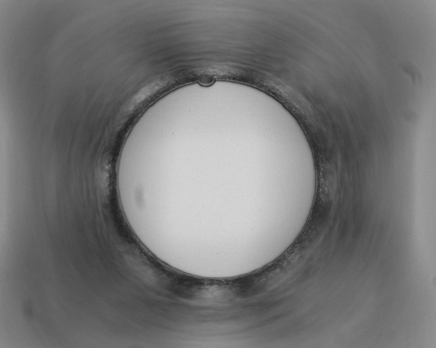 X0000114500111200911091117