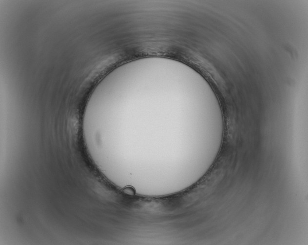 X0000114500113200911091117