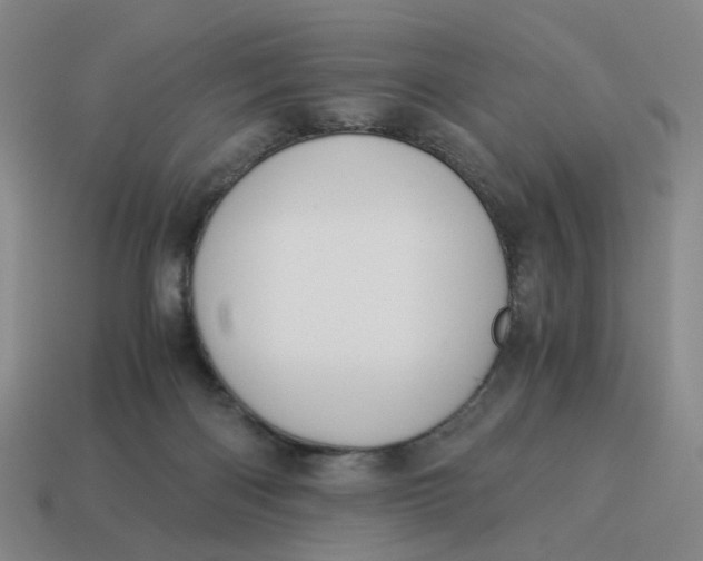X0000114500122200911091117