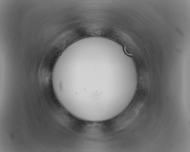 X0000114500125200911091117