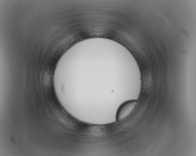 X0000114500126200911091117