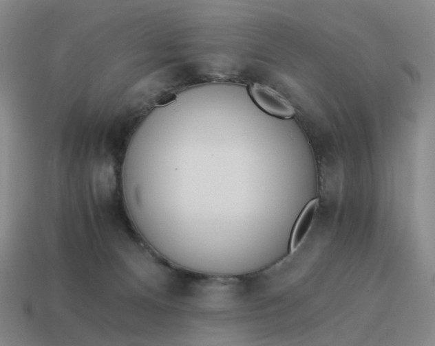 X0000114500128200911091117