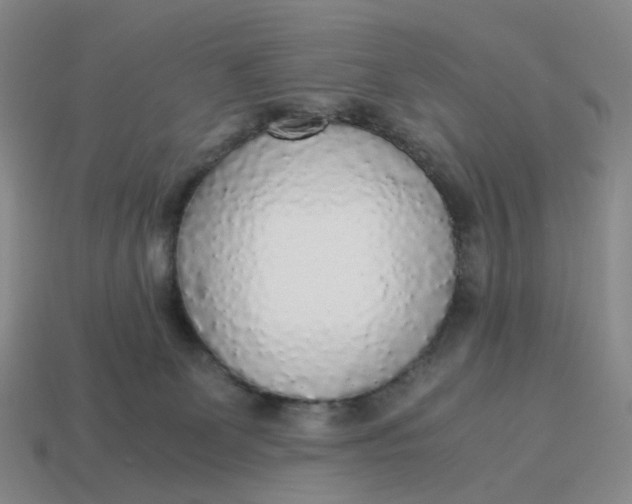 X0000114500131200911091117