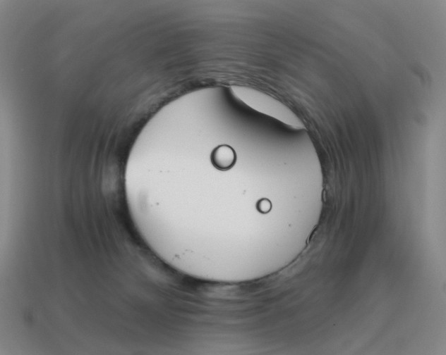 X0000114500132200911091117