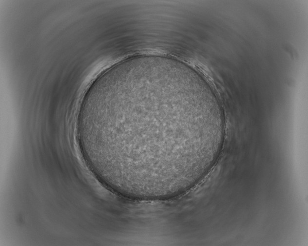 X0000114500145200911091116