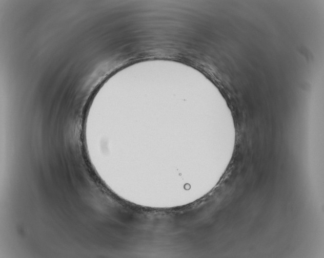 X0000114500146200911091116