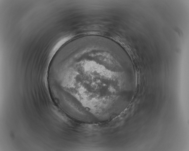 X0000114500147200911091116