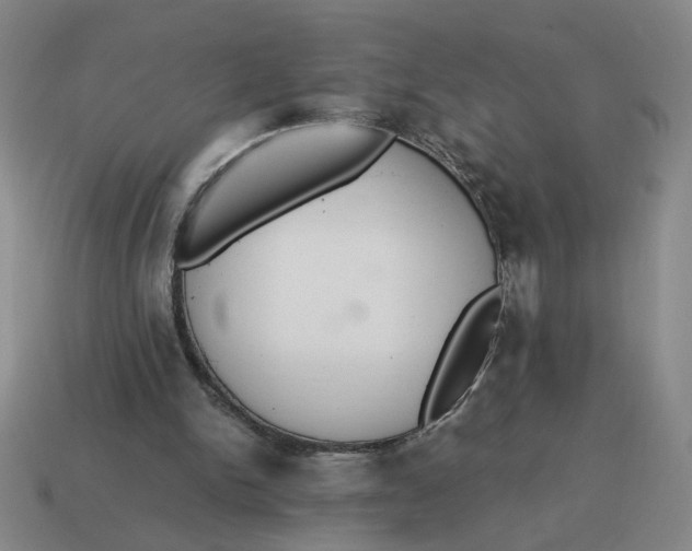 X0000114500150200911091116