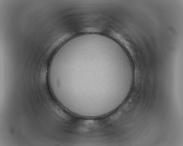 X0000114500153200911091116