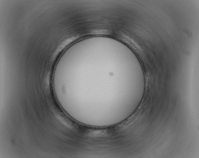 X0000114500155200911091116