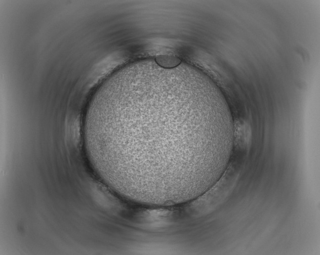 X0000114500158200911091116