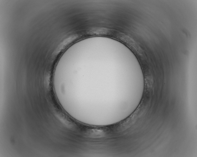X0000114500159200911091116