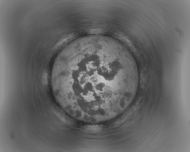 X0000114500161200911091117