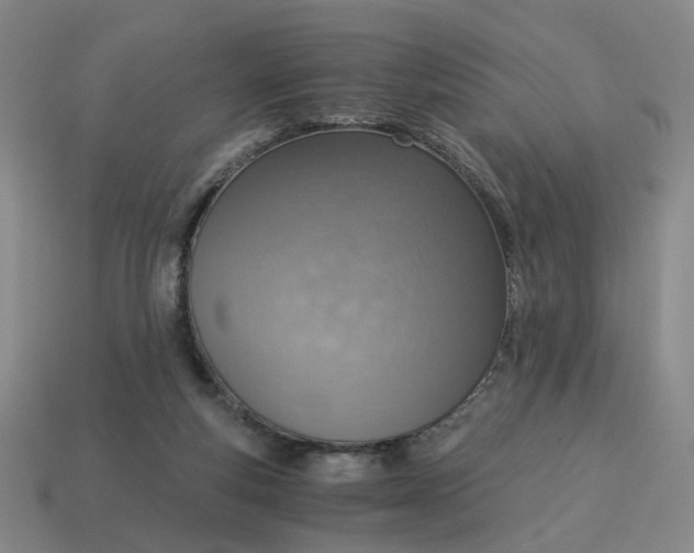 X0000114500163200911091117