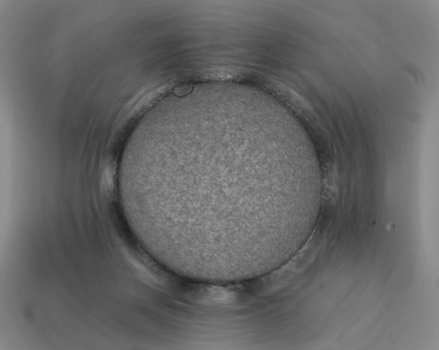 X0000114500166200911091117