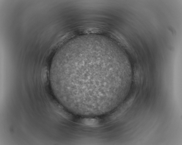 X0000114500169200911091117