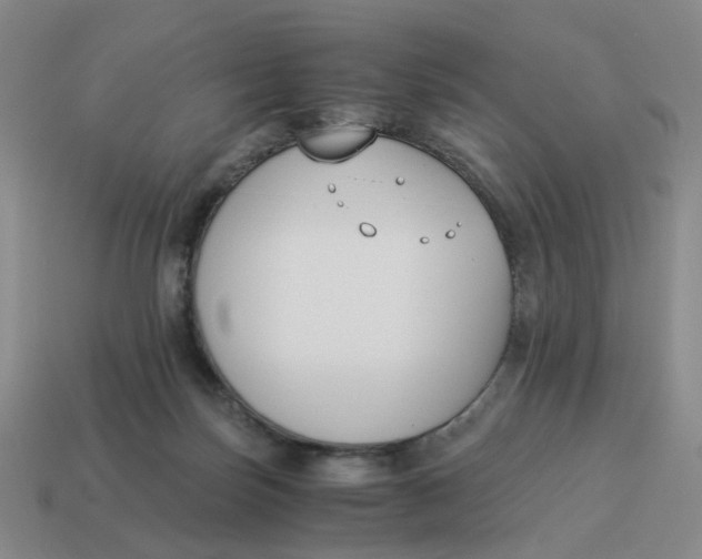 X0000114500171200911091117