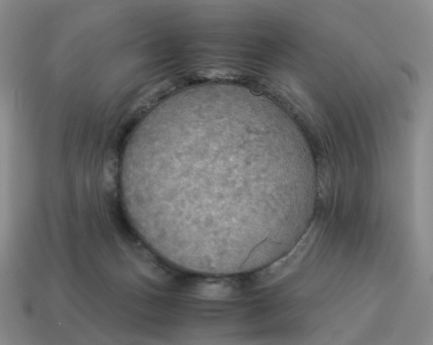 X0000114500175200911091117