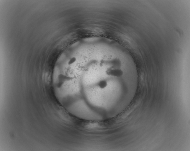 X0000114500177200911091117