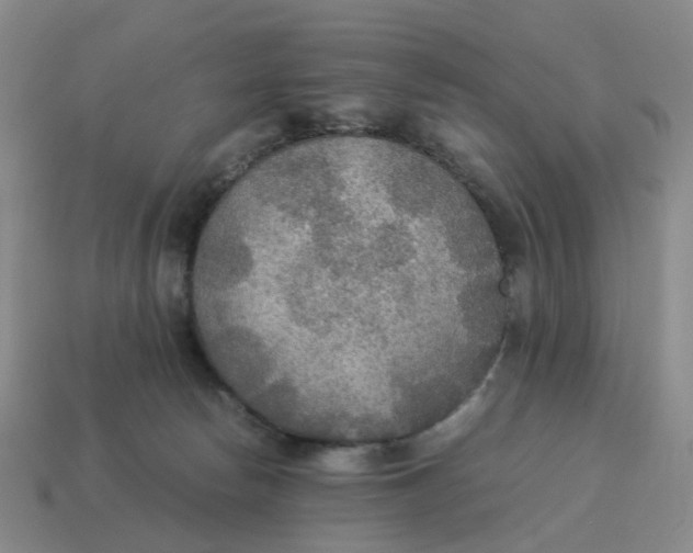 X0000114500178200911091117
