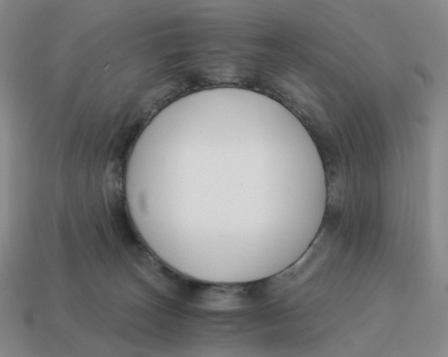 X0000114500179200911091117