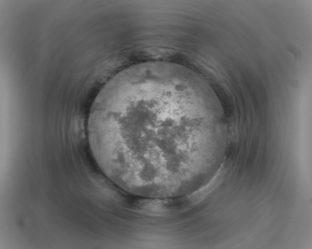 X0000114500182200911091117
