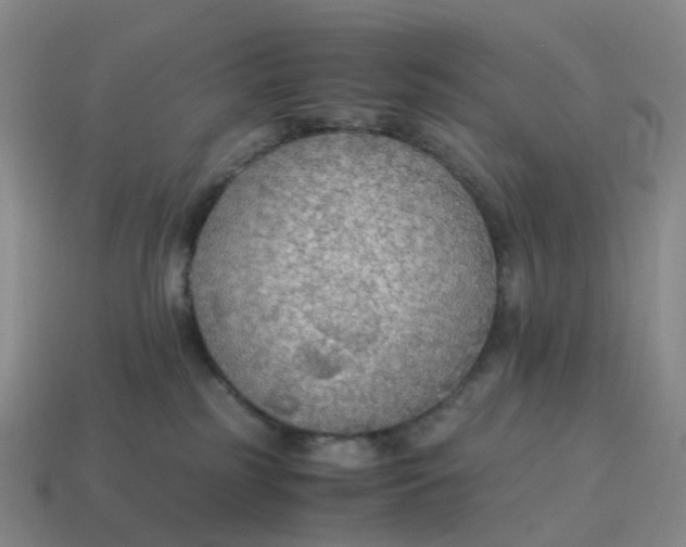 X0000114500185200911091117