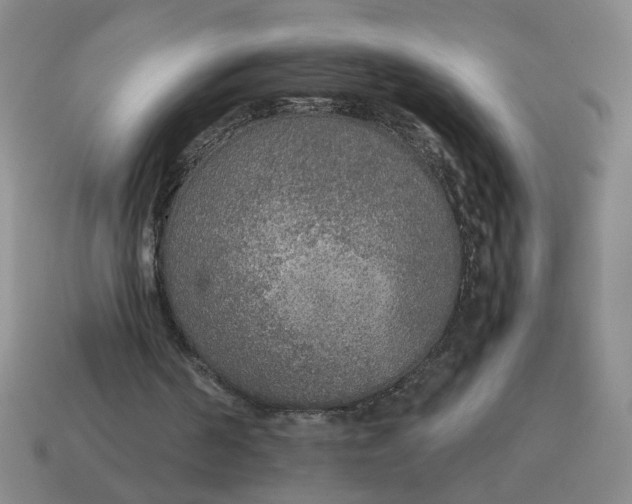 X0000114500194200911091116