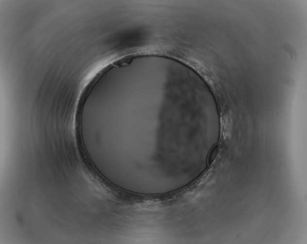 X0000114500196200911091116