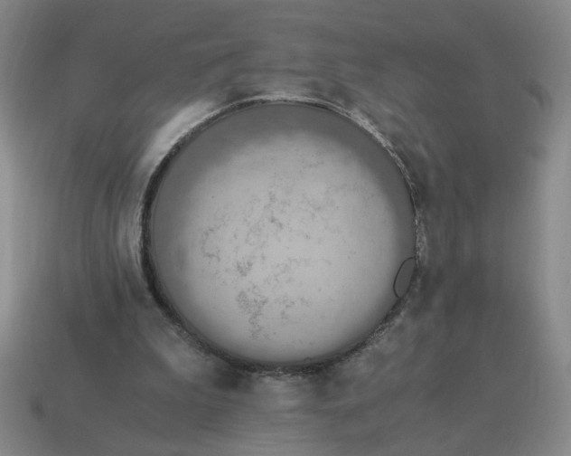 X0000114500199200911091116