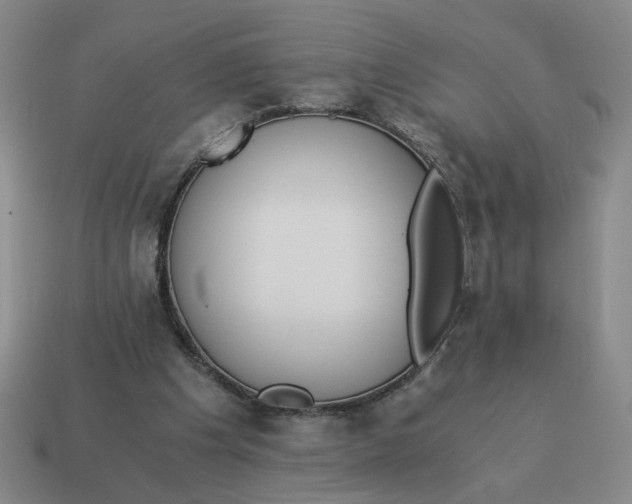 X0000114500201200911091116