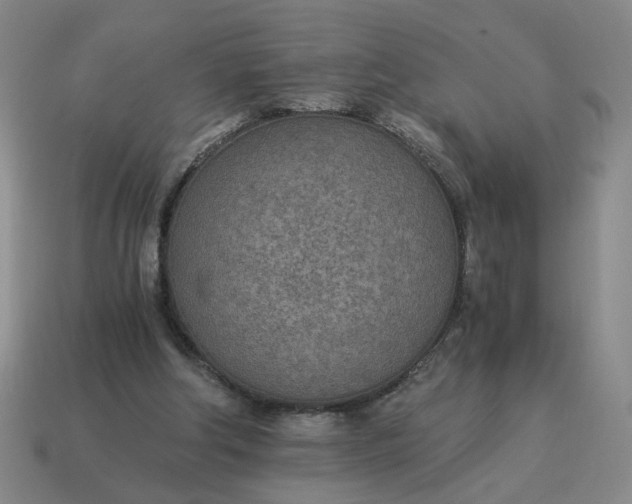 X0000114500202200911091116