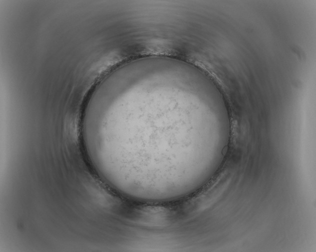 X0000114500203200911091116